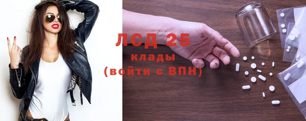 2c-b Бородино