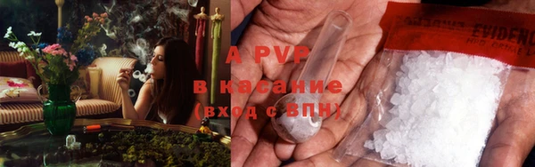 2c-b Бородино