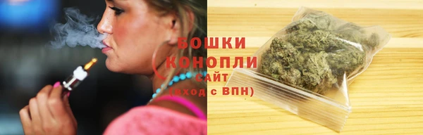дурь Бронницы