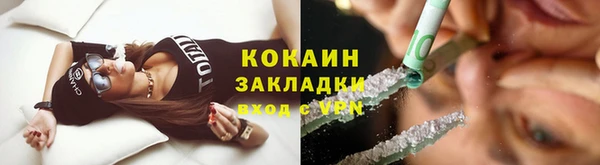 дурь Бронницы