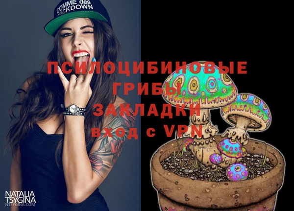 дурь Бронницы