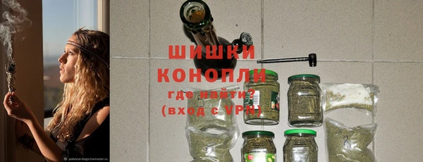 2c-b Бородино