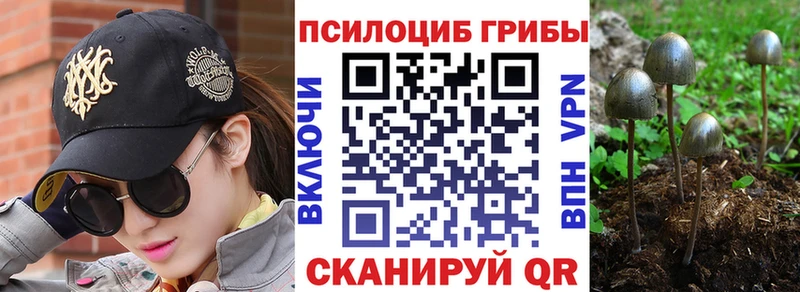 мега ССЫЛКА  как найти наркотики  Киржач  Галлюциногенные грибы Psilocybe 