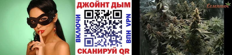 Бошки Шишки план  Киржач 